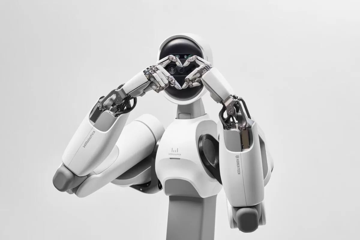 Robot humanoidalny Robot humanoidalny